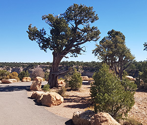 daTRAVEL - USA Grand Canyon